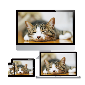 NラインBOX特徴画像6